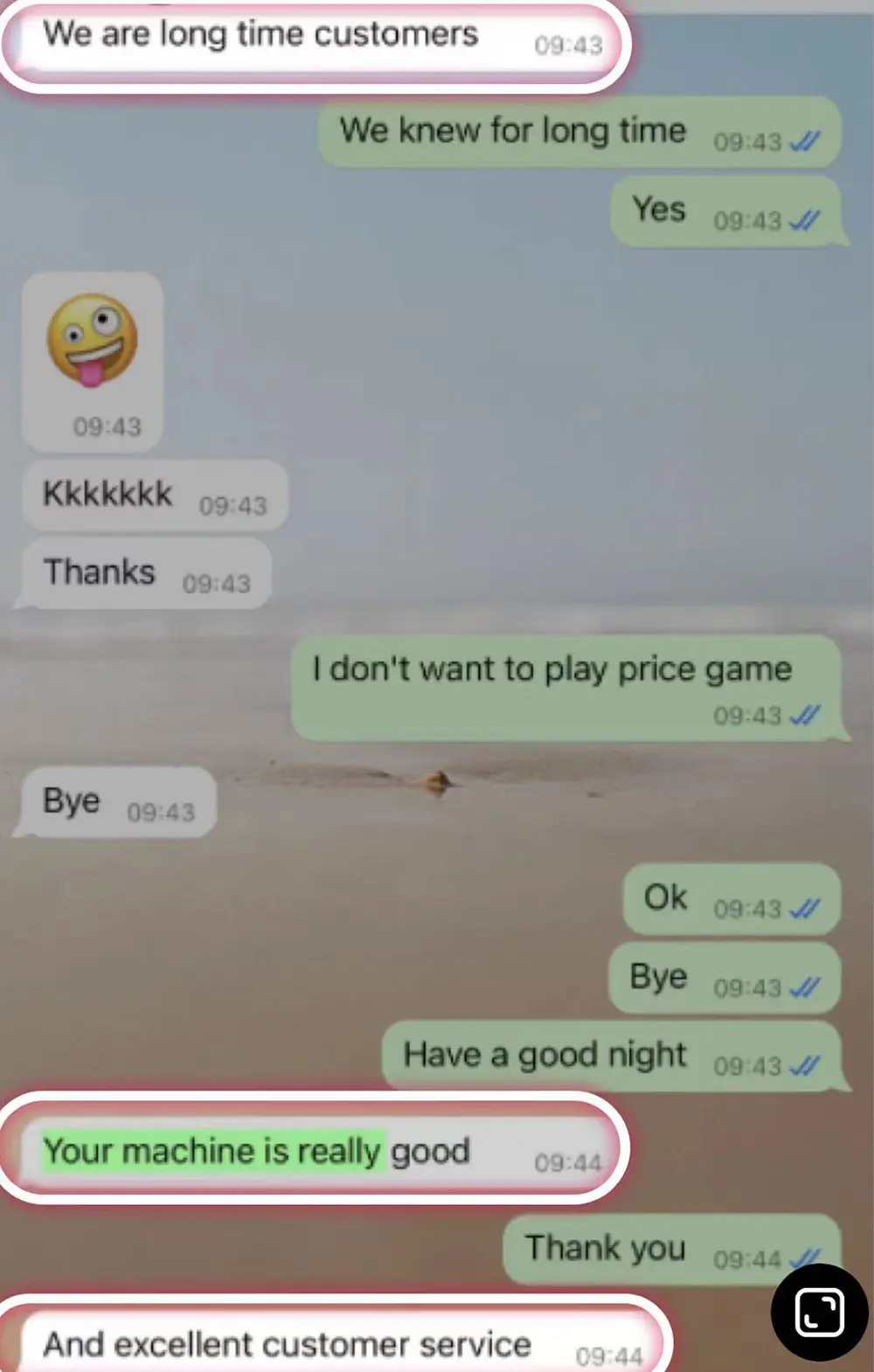 Customer Review (5)